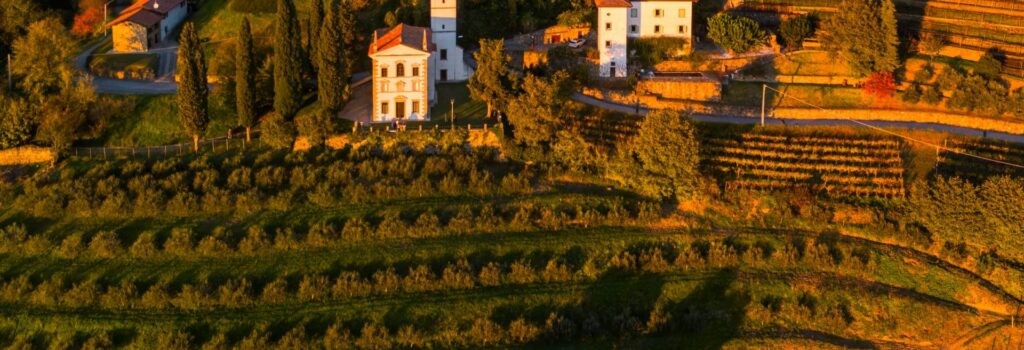 Montenegrin Wines