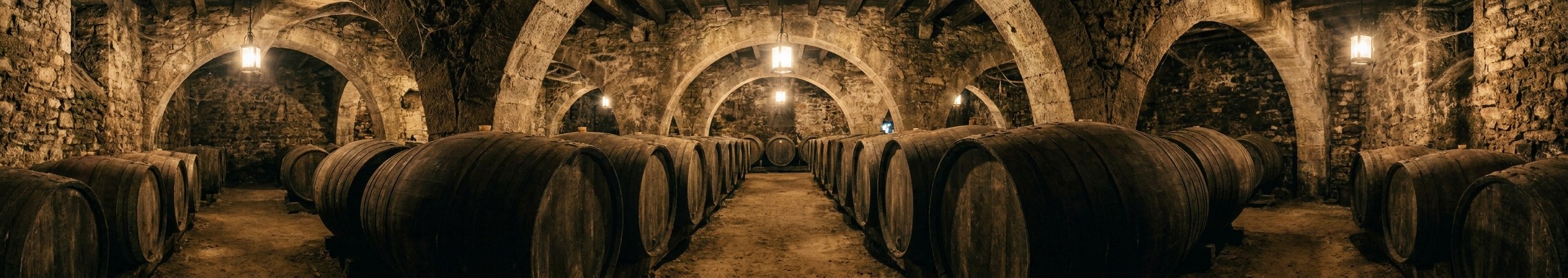 Centuries-old stone wine cellar with rows of large oak barrels